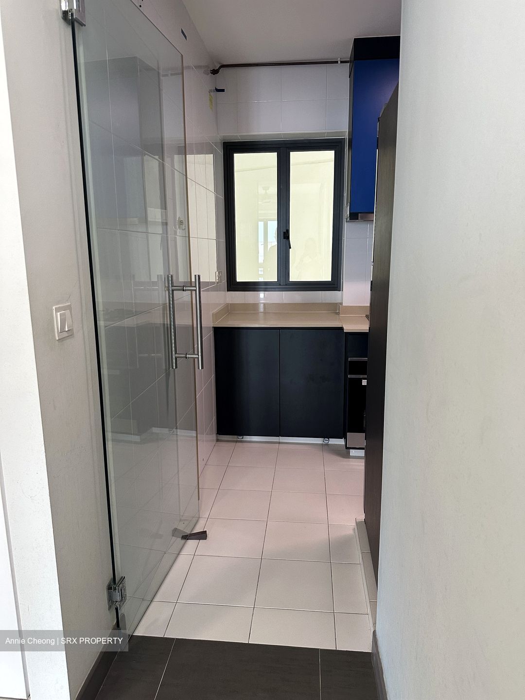 Blk 88 Skyville @ Dawson (Queenstown), HDB 4 Rooms #541863581